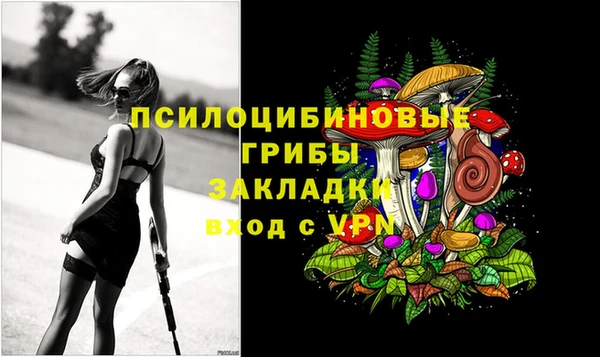 МДПВ Заволжье