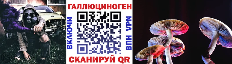 Купить закладки  Цивильск  Псилоцибиновые грибы мухоморы 