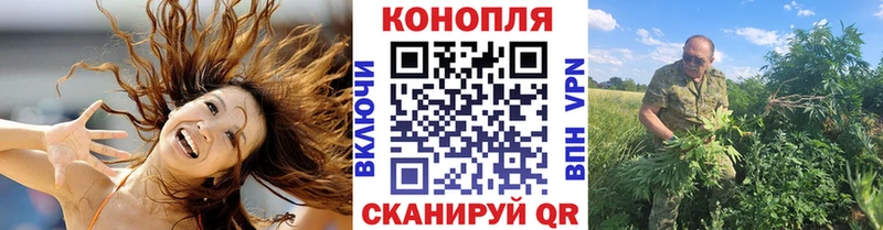 Конопля конопля  Купить закладки  Цивильск 